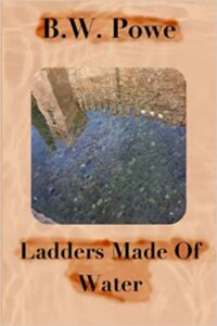 Book cover of Ladders Made of Water