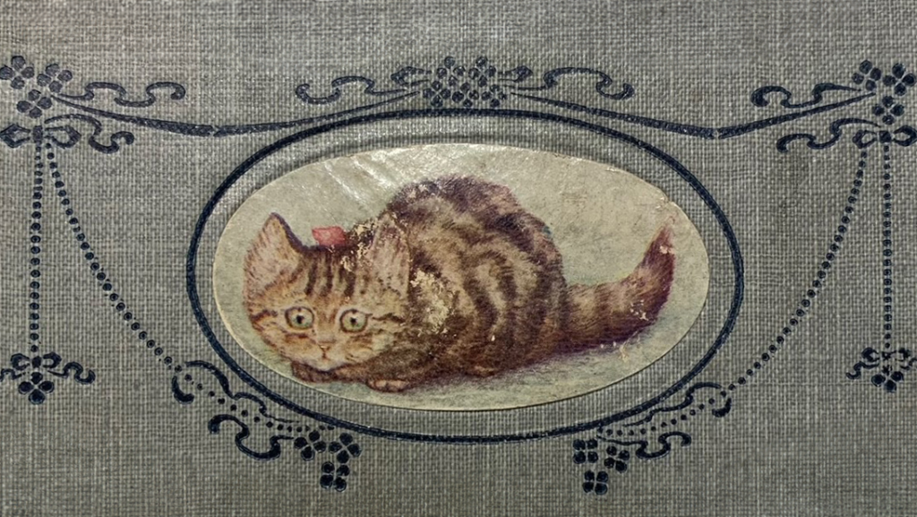 Illustration of a kitten from the cover of the children's book The Story of Ms Moppet