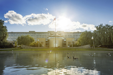 Vari Hall pond on YorkU Keele Campus