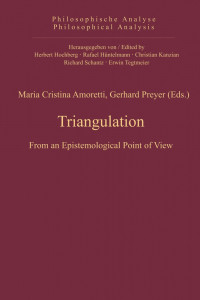 triangulation from an epistemological point of view book cover