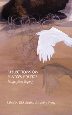 reflections on plato's poetics book cover