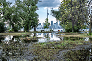 view of toronto downtown skyline from toronto island