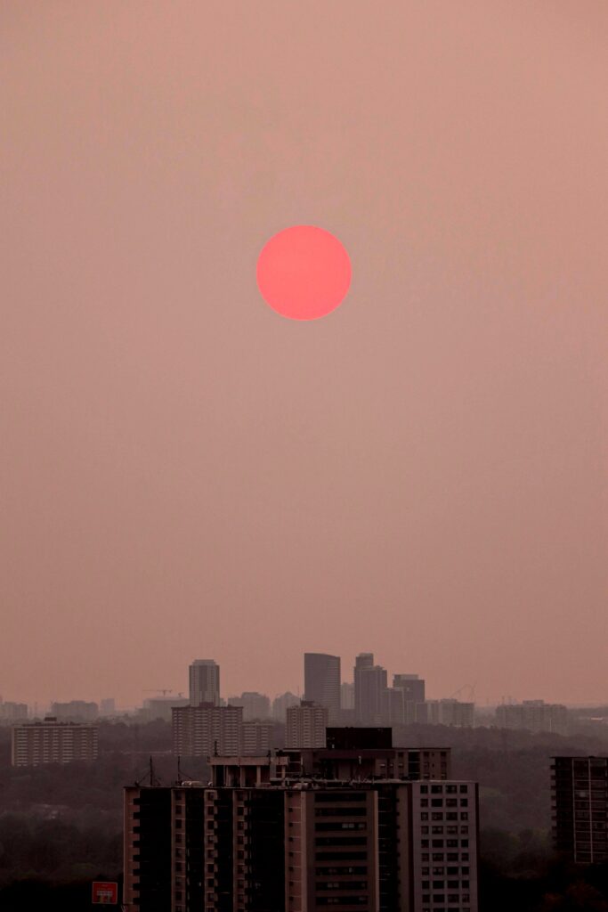 Skyscrapes on the pink cloudy day