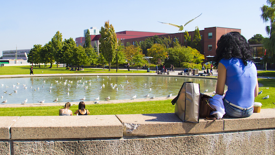 Female student sits next to commons pond on York University Keele Campus