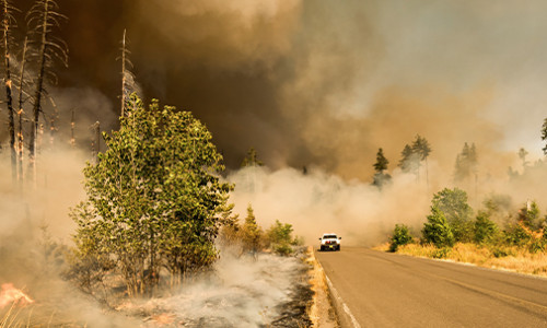 Disaster & Emergency Management forest fires