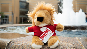 York Lions Teddy Bear holds a York University bookstore gift card, while seated on the fountain pond outside Vari Hall on Keele Campus.