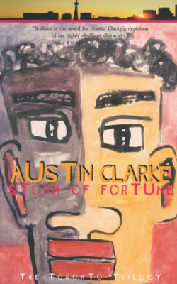 Storm of Fortune book cover featuring an abstract design of a young man.