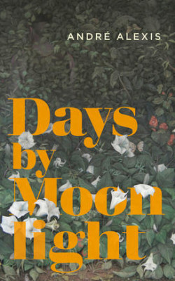 Days by Moonlight book cover