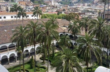 city landscape in Ecuador with palm trees