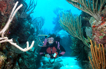 scuba diving under water
