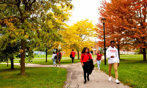 Students walking in the fall season