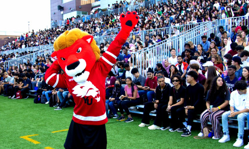 yurk lions mascot on a stadium during the game