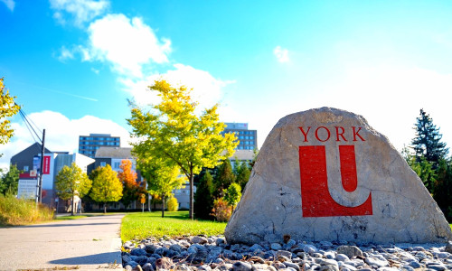 Photo's of scenario with York University written in a big brick