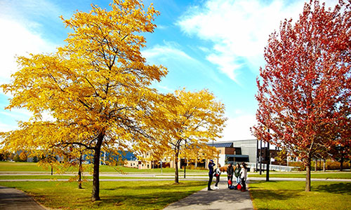 Keele campus in the fall