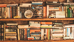 books on a rustic shelf