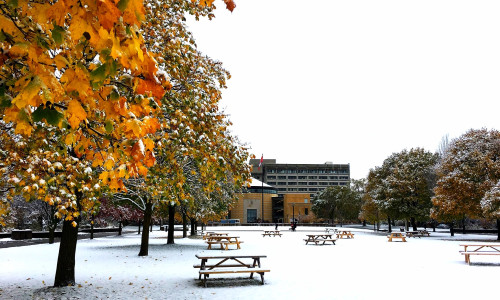 Keele Campus in Winter
