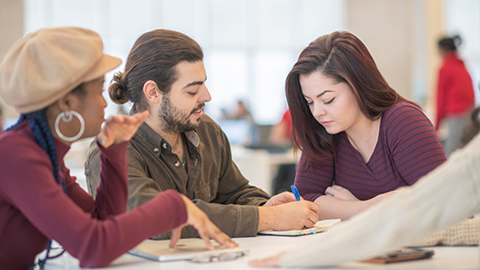 A group of university students are sitting in the school's library. 