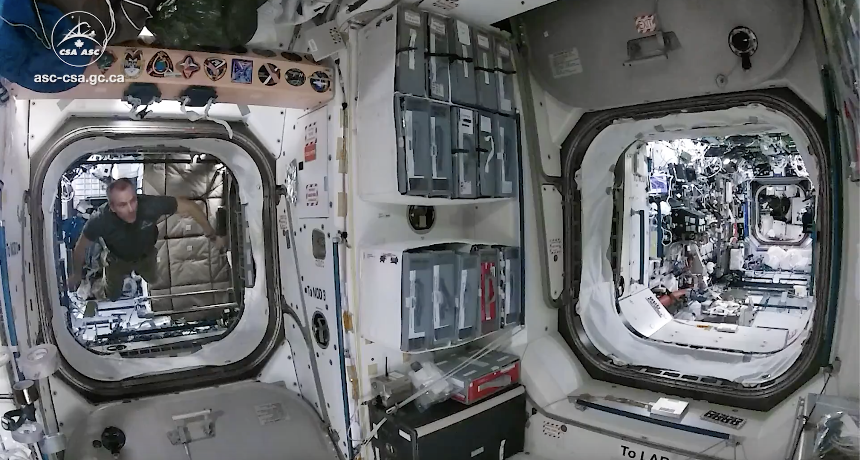 Astronauts Have Surprising Ability to Know How Far They ‘Fly’ in Space