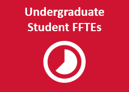 Undergraduate Student FFTEs