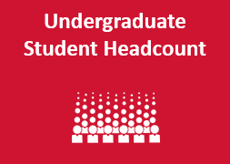 Undergraduate Student Headcount