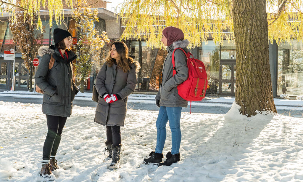 Three female students stand in the snow beneath a tree and talk. Sunlight filters through the tree branches.