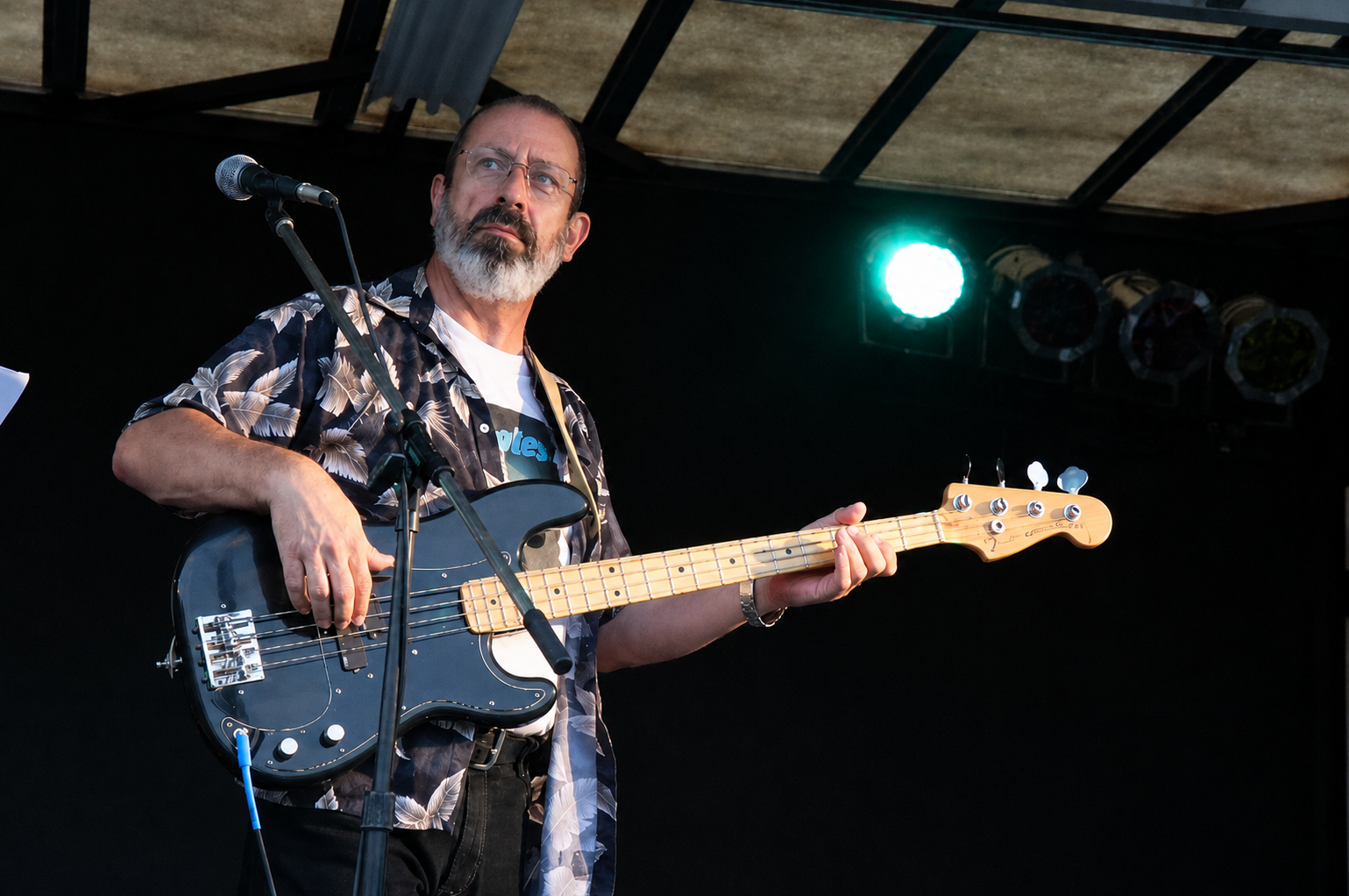 Peter Paolucci playing a 1973 Fender precision Bass guitar