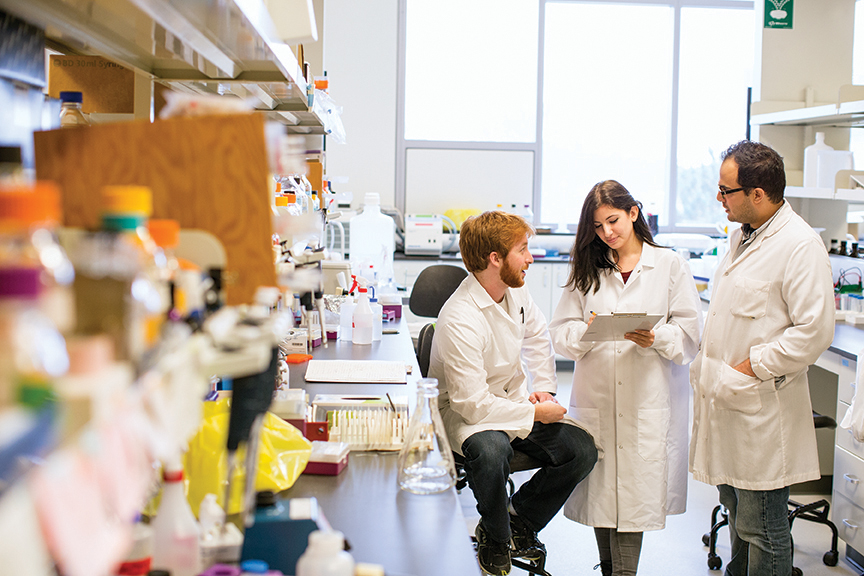 People in Lab courts discussing over a lab experiment.