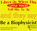 Little voices bumper sticker