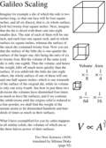 Galileo Scaling excerpt