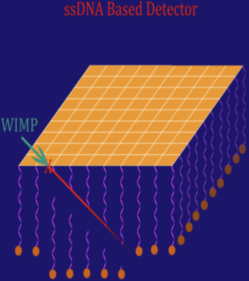 WIMP detector diagram