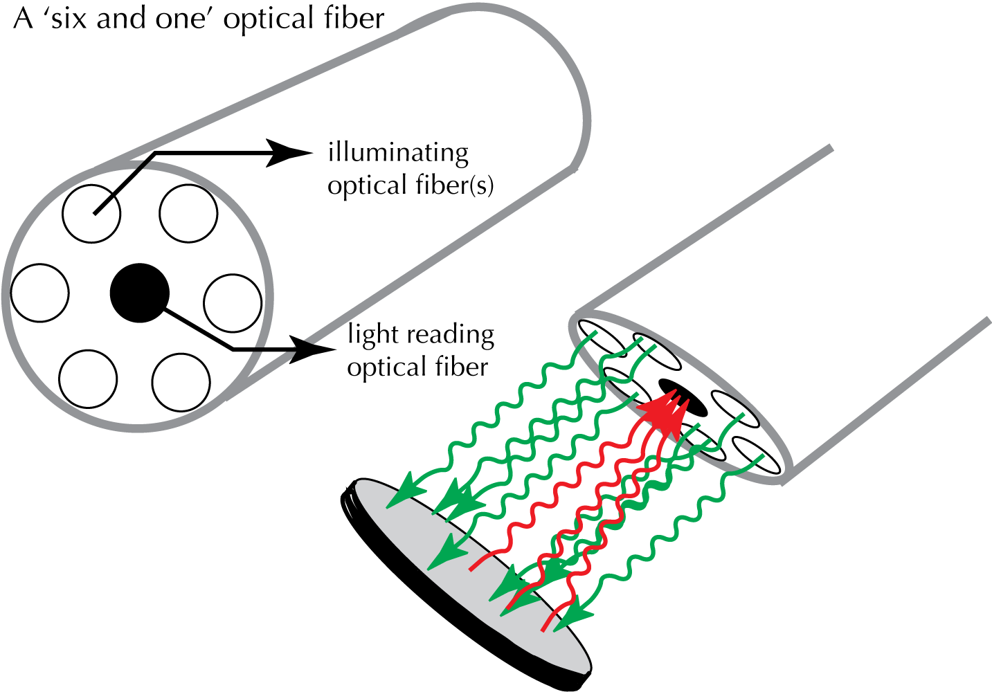 diagram explaining how reflectance measurements are made