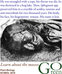 A 2000-year-old man from a Danish bog