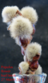 Populus flower bud break