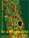 Hyphal Architecture