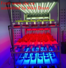 LED lighting for growing plants