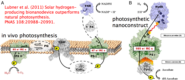 Artificial photosynthesis