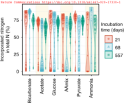 growth of ancient microbes on various carbon substrates
