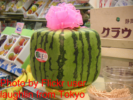 Square Watermelon