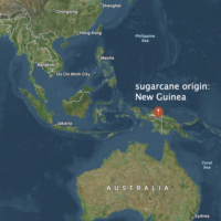 a map encompassing Southeast Asia and Australia with the origin of sugarcane:
	New Guinea