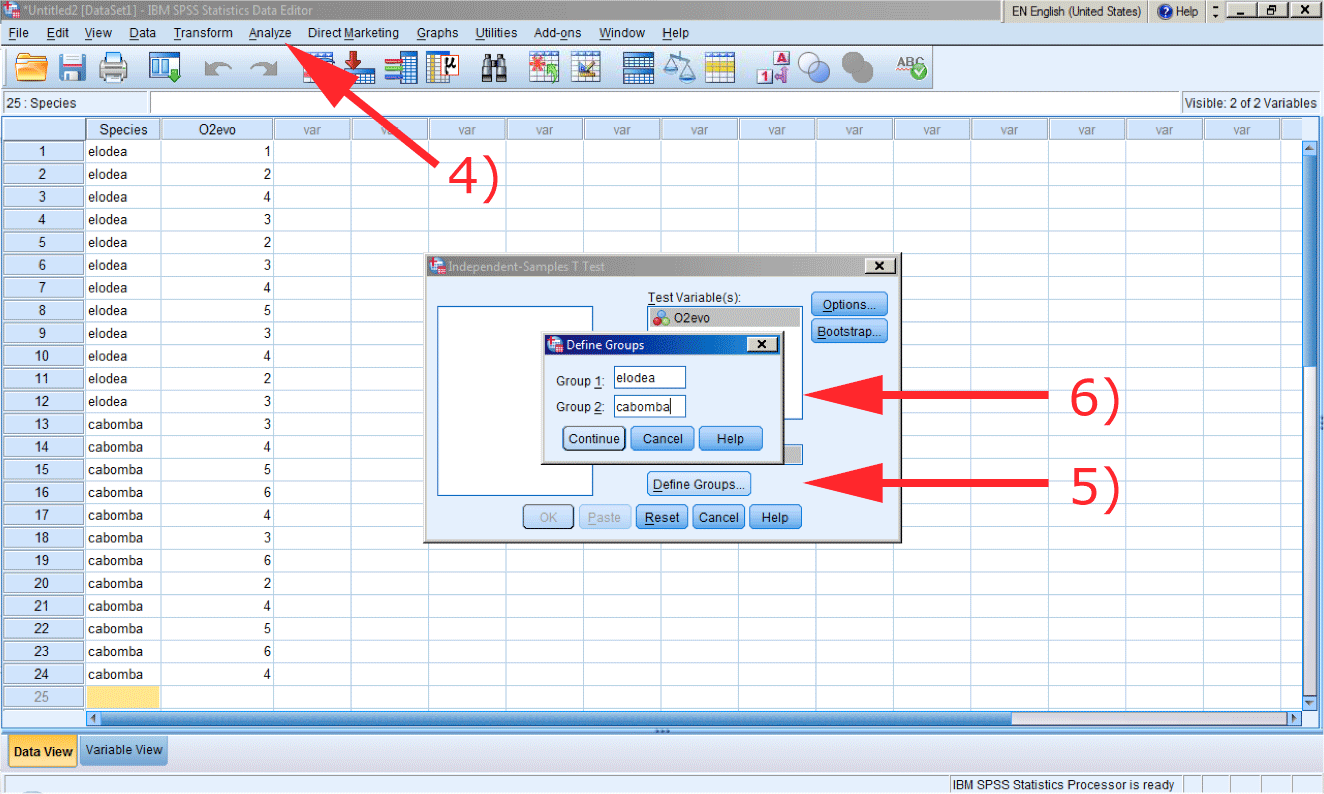 visual explanation of analyzing data in SPSS