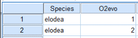 visual explanation of data columns in SPSS