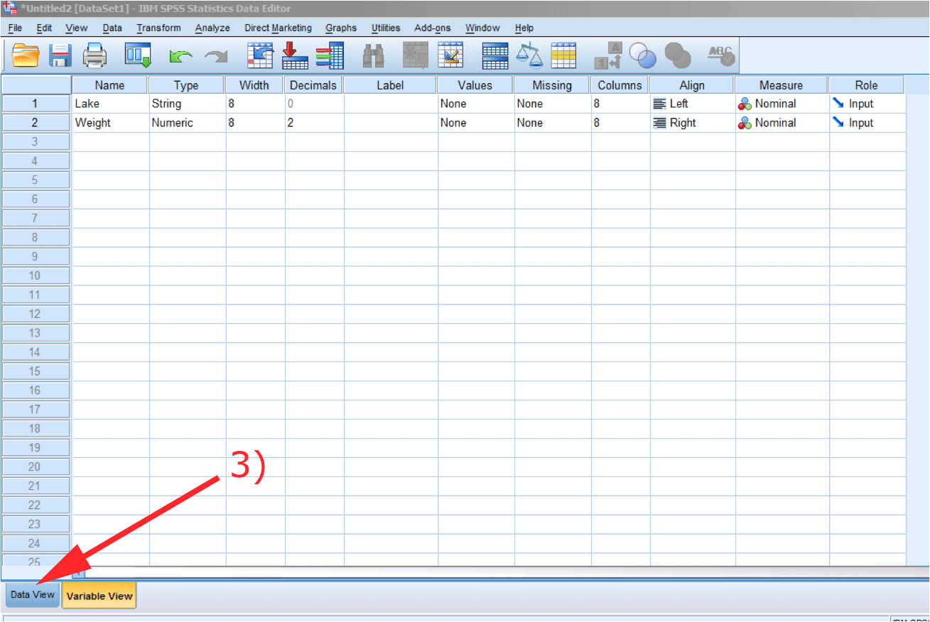 visual explanation of changing to data view in SPSS