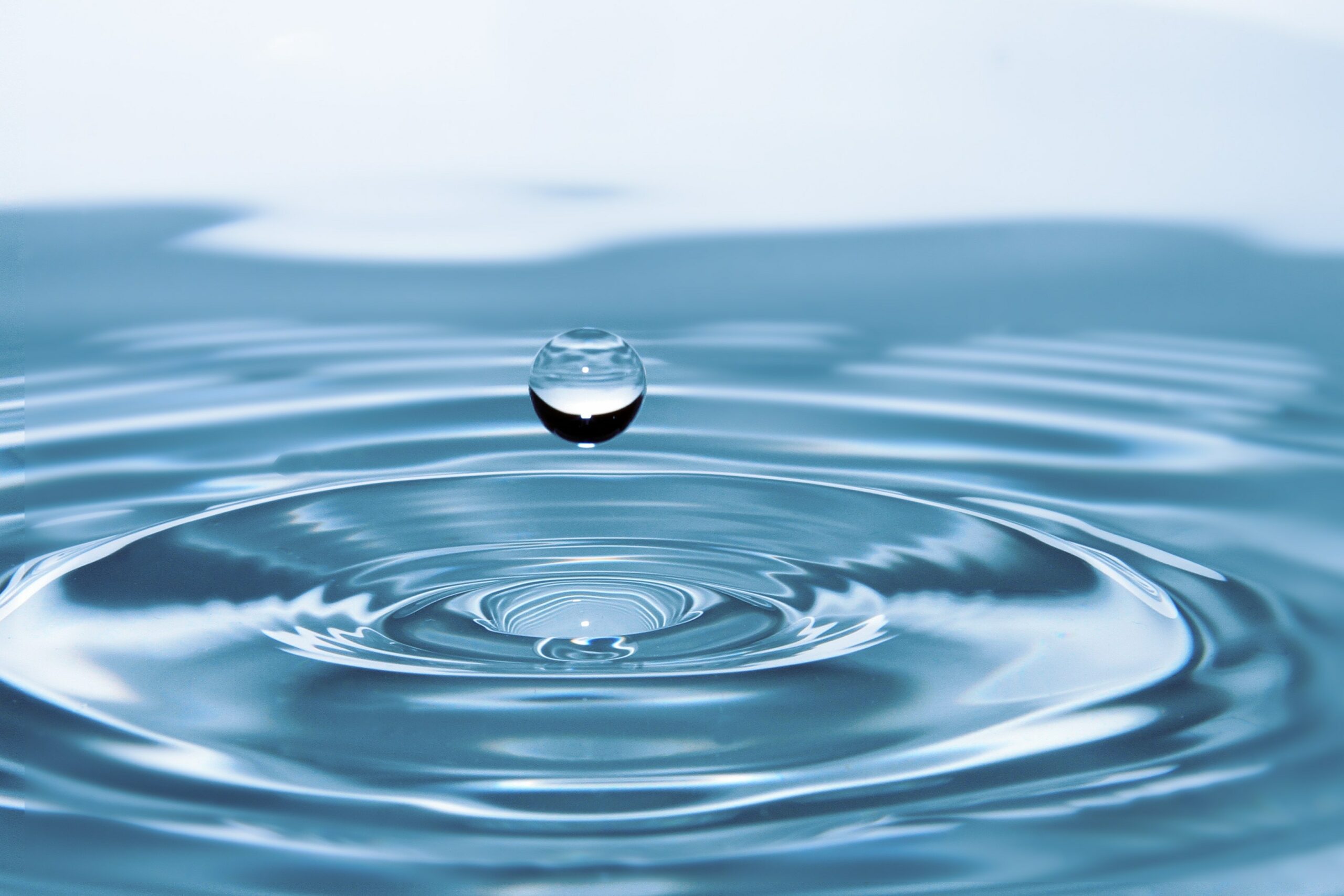 York University and UNITAR tackle global water challenges on UN World Water Day