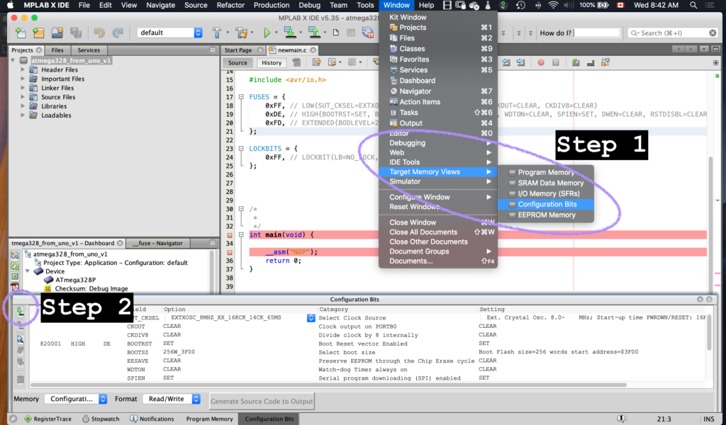 Reading the configuration bits in MPLAB X begins like this.  Start with Window -> Target Memory View -> Configuration Bits.