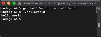 hello world example from the terminal.