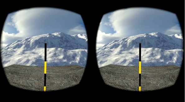 Binocular view of motion gain experiment.