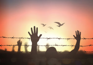 People raising their arms over barbed wire with birds flying overhead. 