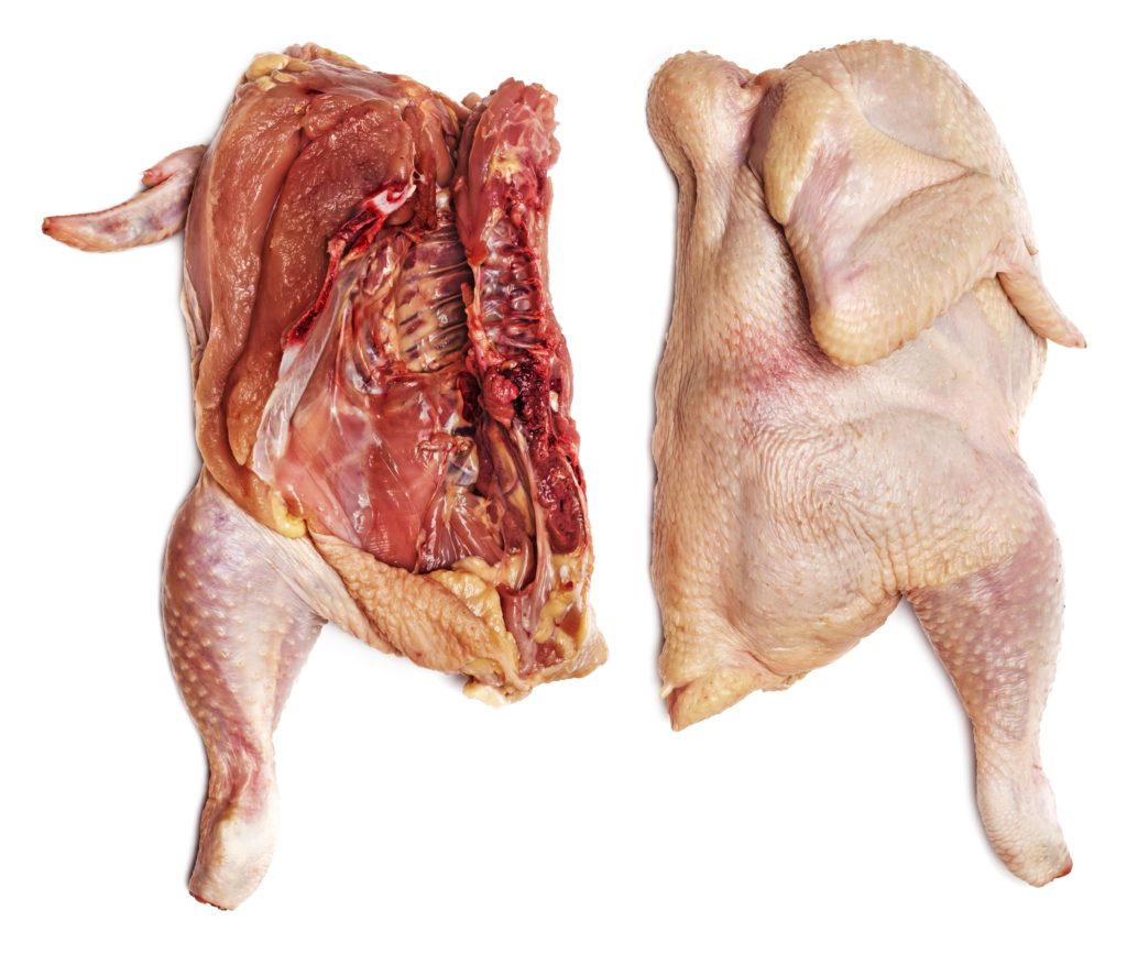The researchers put the chicken samples in the ‘fridge and at room temperature, then watched them for six to 12 hours