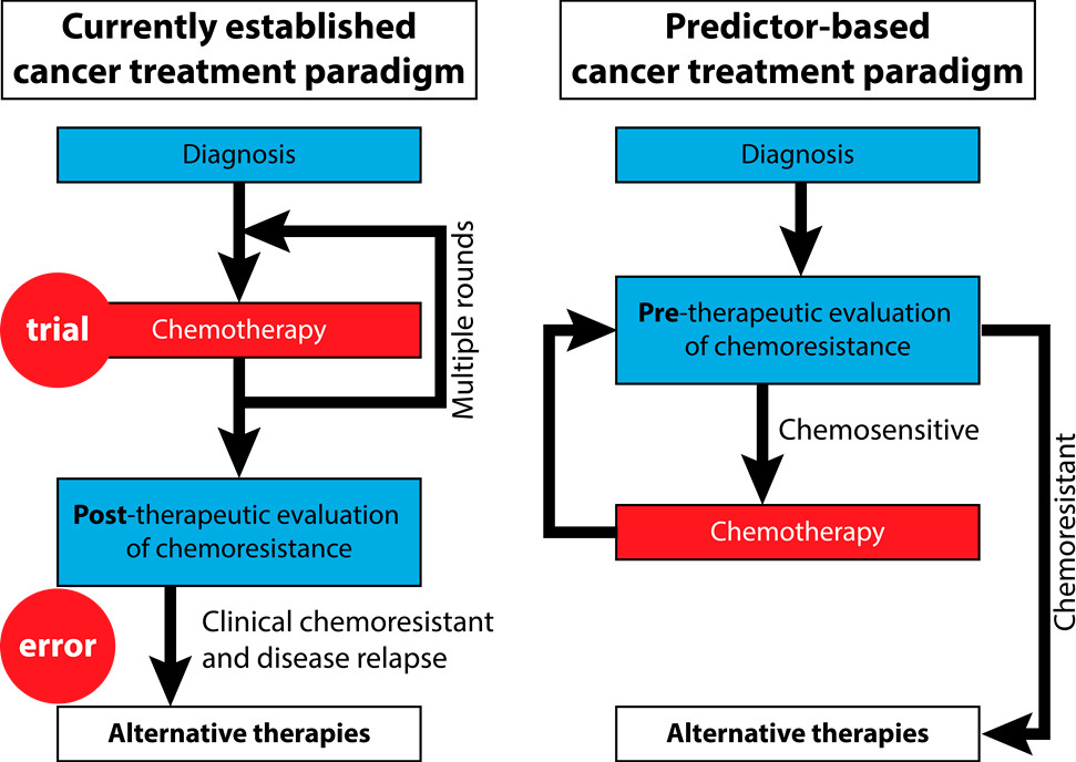 Current and prospective cancer treatment paradigms. In the current paradigm, evaluation is done after multiple rounds of chemo. In the predictor-based paradigm, evaluation is done prior to chemotherapy, preventing useless treatment in chemoresistant patients.