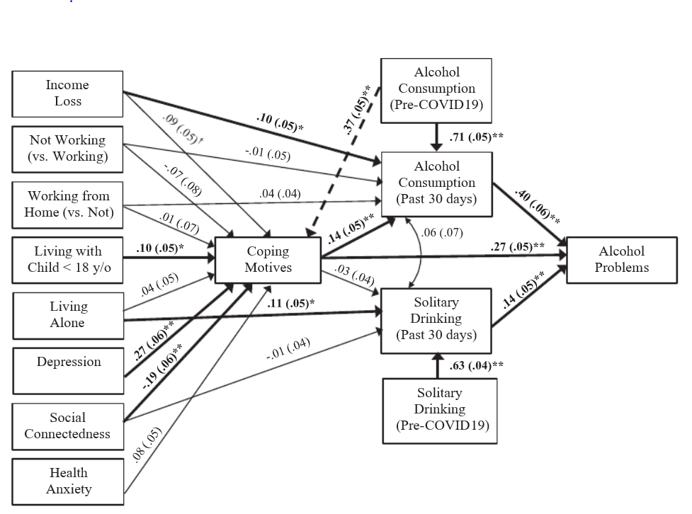 This figure shows the many pathways to alcohol use and alcohol problems early in the COVID-19 pandemic